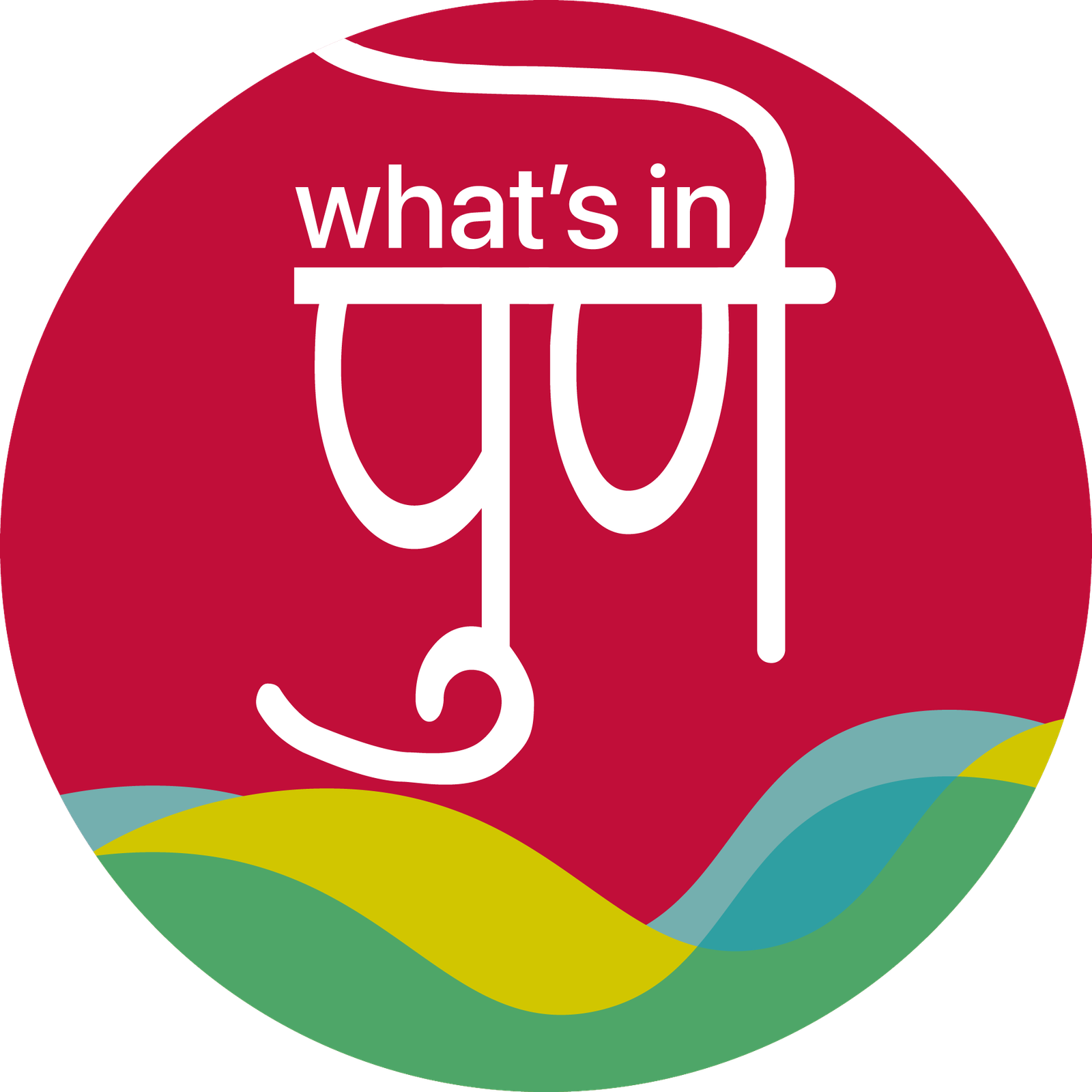whatsinpune logo png
